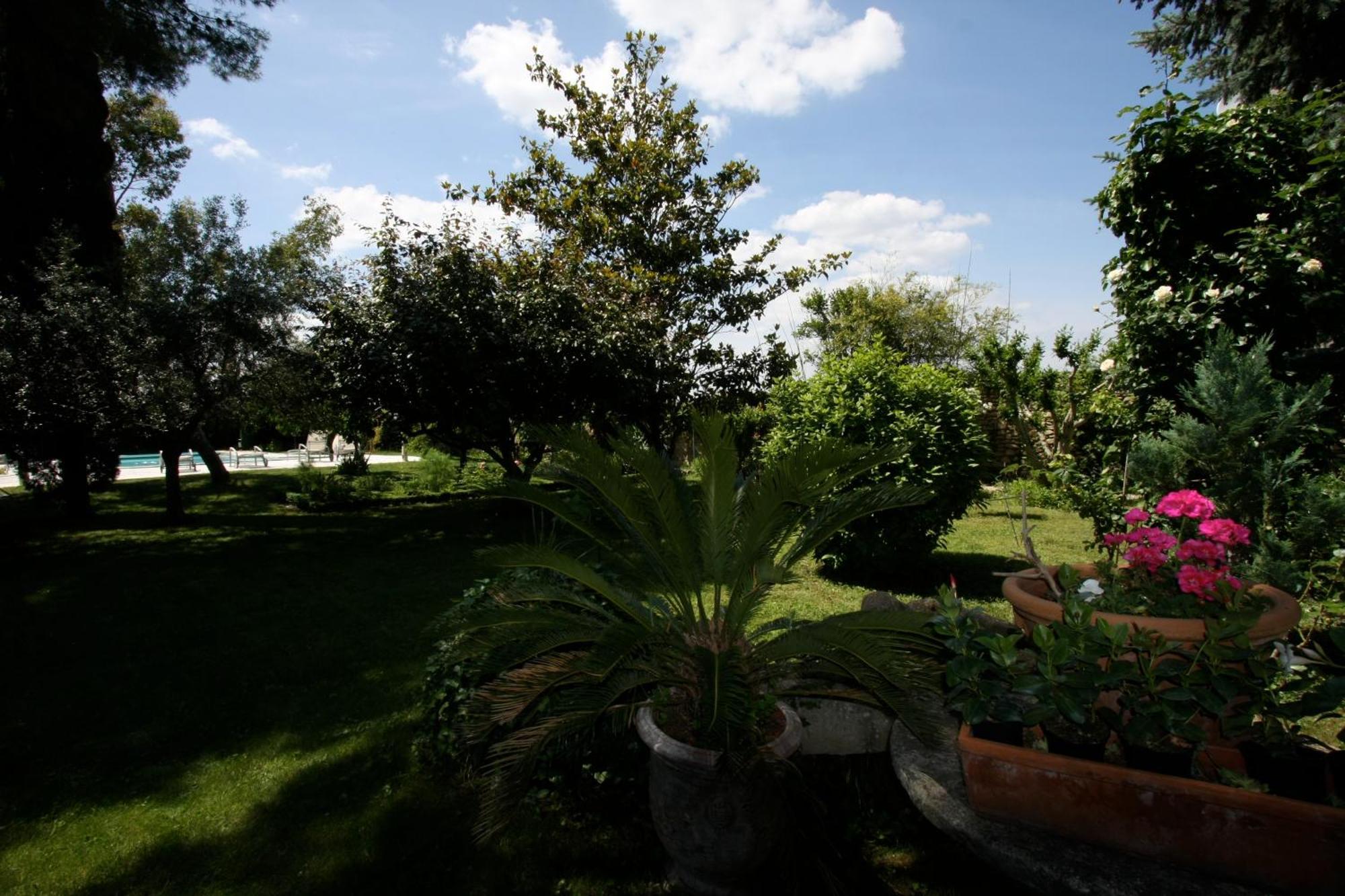 Apartamento Mas Alpilles Soleil Saint-Rémy-de-Provence Exterior foto